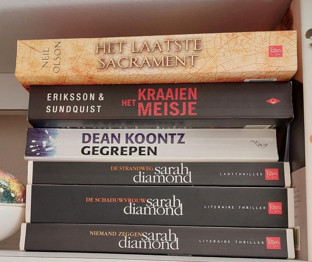 12 spannende thrillers in een koop 12,50 euro, Boeken, Ophalen, Gelezen
