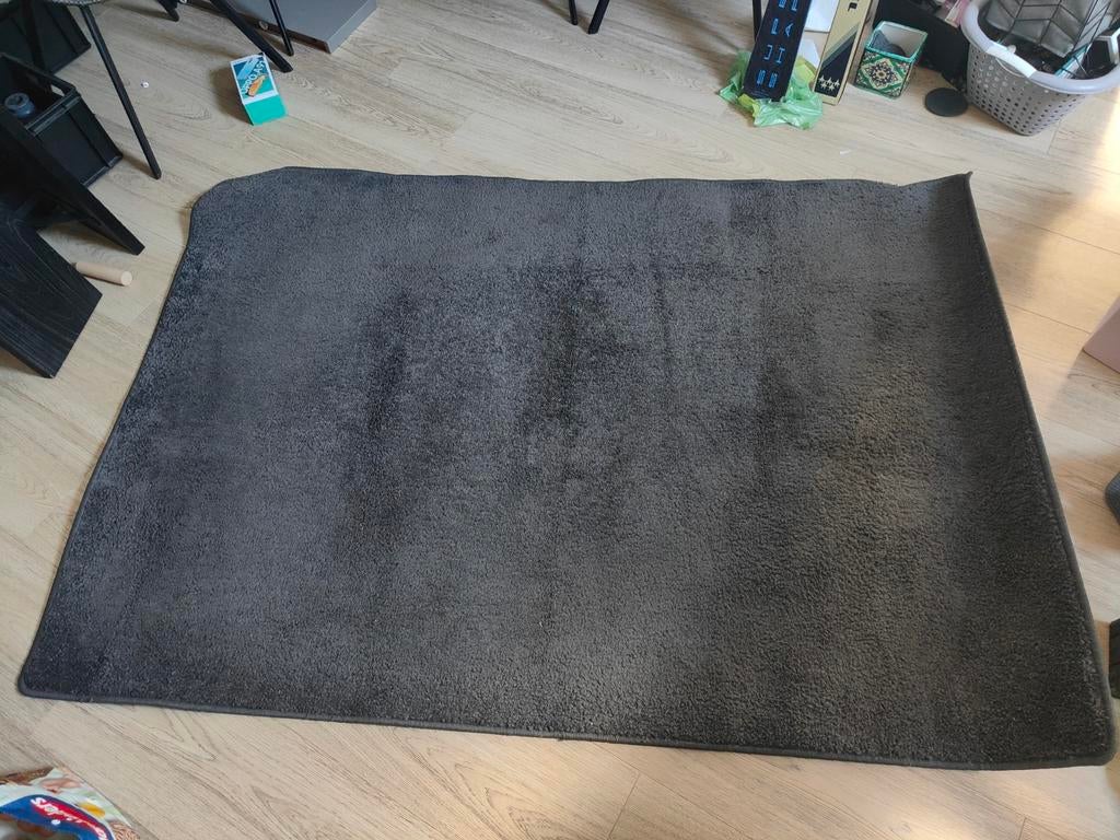 Vloerkleed, Ophalen, Zo goed als nieuw, Rechthoekig, 200 cm of meer