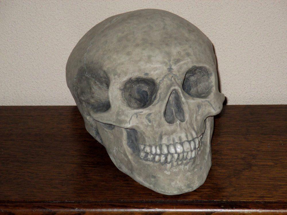 handgemaakte menselijke Schedel, Skull mens Medium-A, uniek, Verzamelen, Overige Verzamelen, Nieuw, Ophalen of Verzenden