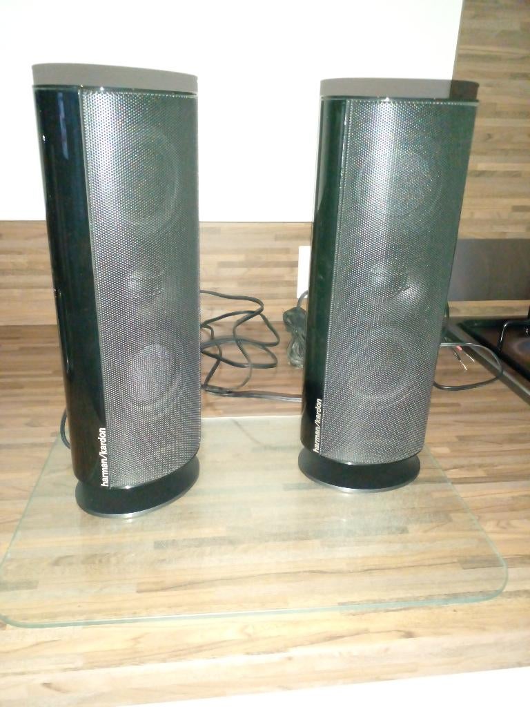 2 Harman en Kardon boxen, Overige merken, Ophalen of Verzenden, Zo goed als nieuw, 120 watt of meer