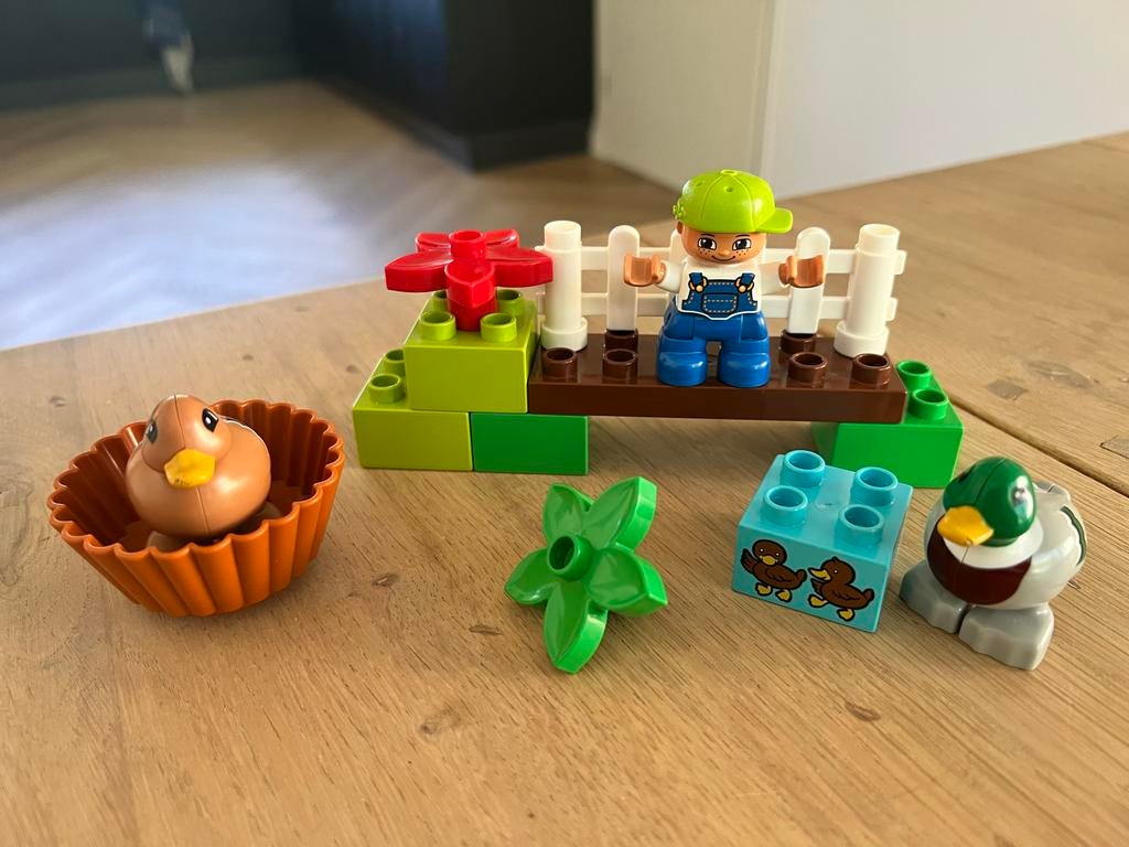 LEGO Duplo Bos eendenset 10581 met figuur en eendjes, Ophalen, Gebruikt, Overige thema's, Compleet