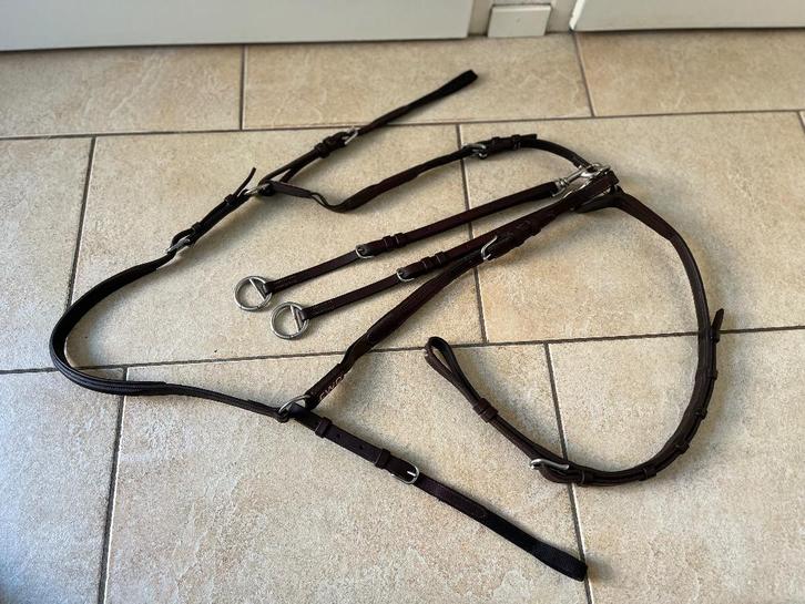 CWD Borsttuig met Martingaal Maat 3 Bruin, Dieren en Toebehoren, Paarden en Pony's | Hoofdstellen en Tuigage, Gebruikt, Springen