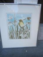 LUDWIEN CHORUS, Mooie Kl Litho van een ROODBORST All Lijst, Antiek en Kunst, Ophalen of Verzenden