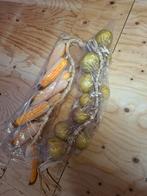 Decoratie mais en uien, Ophalen of Verzenden, Overige typen