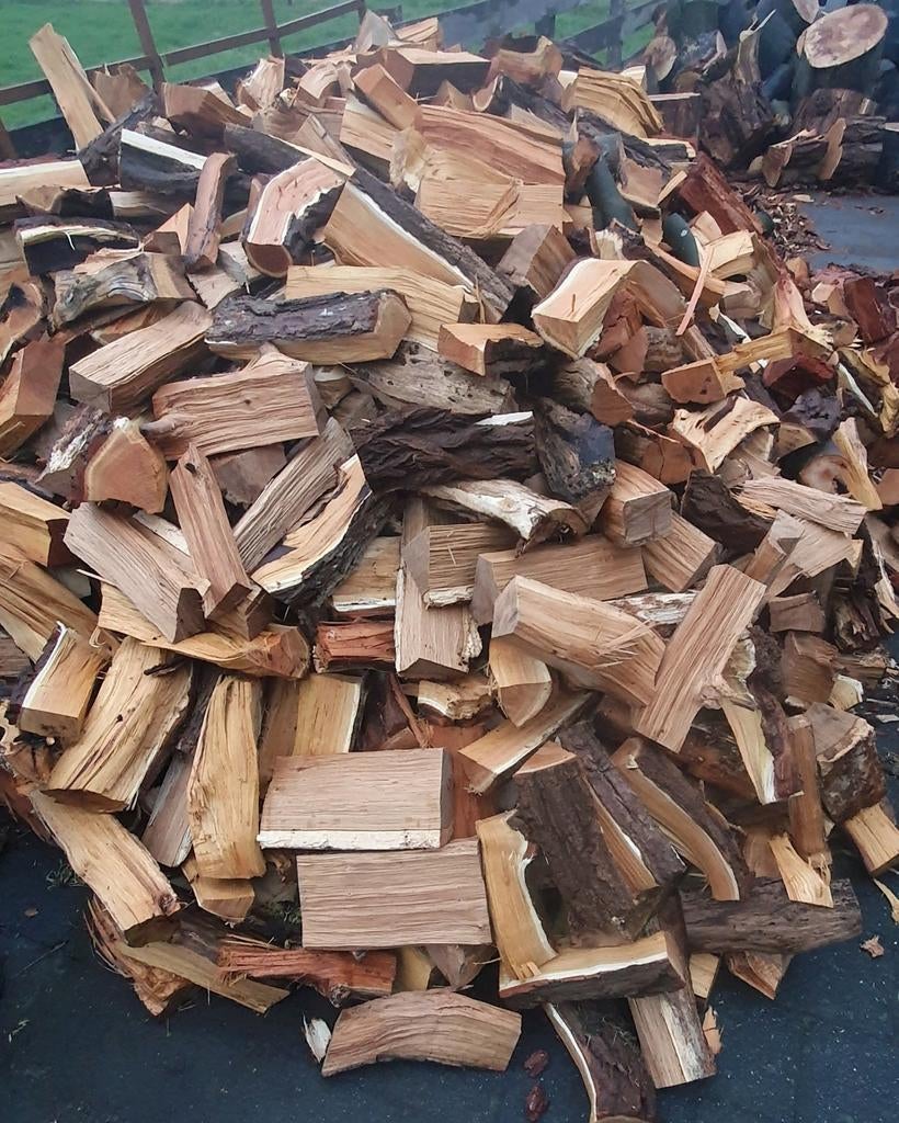 4m3 brandhout vers, Tuin en Terras, Haardhout, 3 tot 6 m³, Ophalen, Overige houtsoorten, Blokken