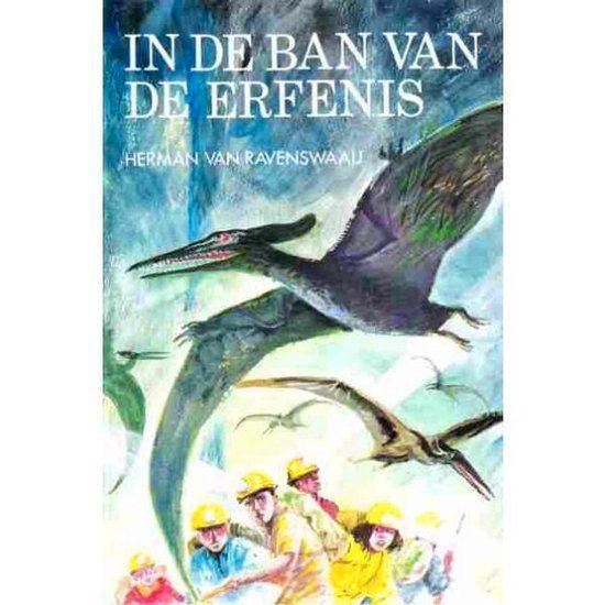 In de ban van de erfenis Herman van Ravenswaay 9033106973, Boeken, Romans, Zo goed als nieuw, Ophalen of Verzenden