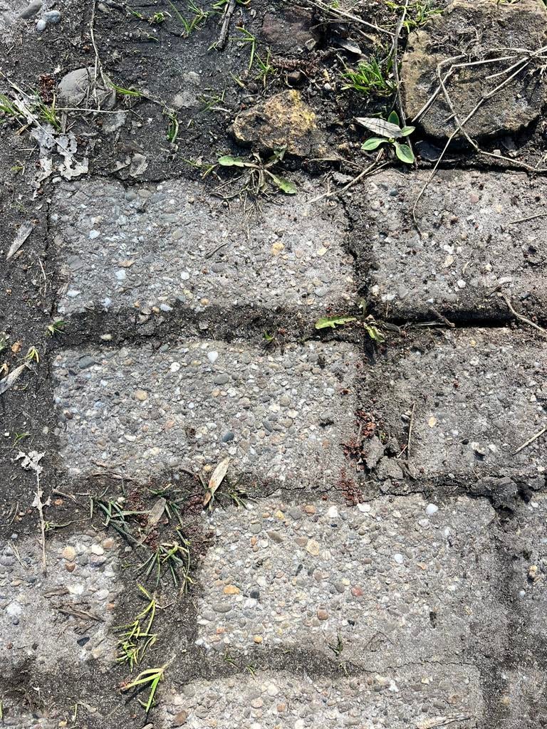 Betonklinkers 16m2, Ophalen, Zo goed als nieuw, Beton, Klinkers