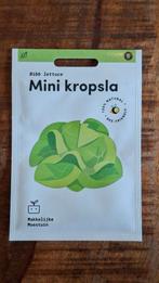 Makkelijke moestuin  - Mini kropsla zaden, Ophalen, Volle zon