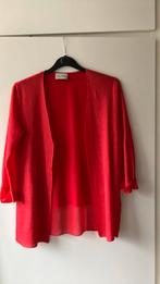 Via Appa. Rood openvallend zomervestje. Maat 38, Ophalen of Verzenden, Zo goed als nieuw, Maat 38/40 (M), Rood
