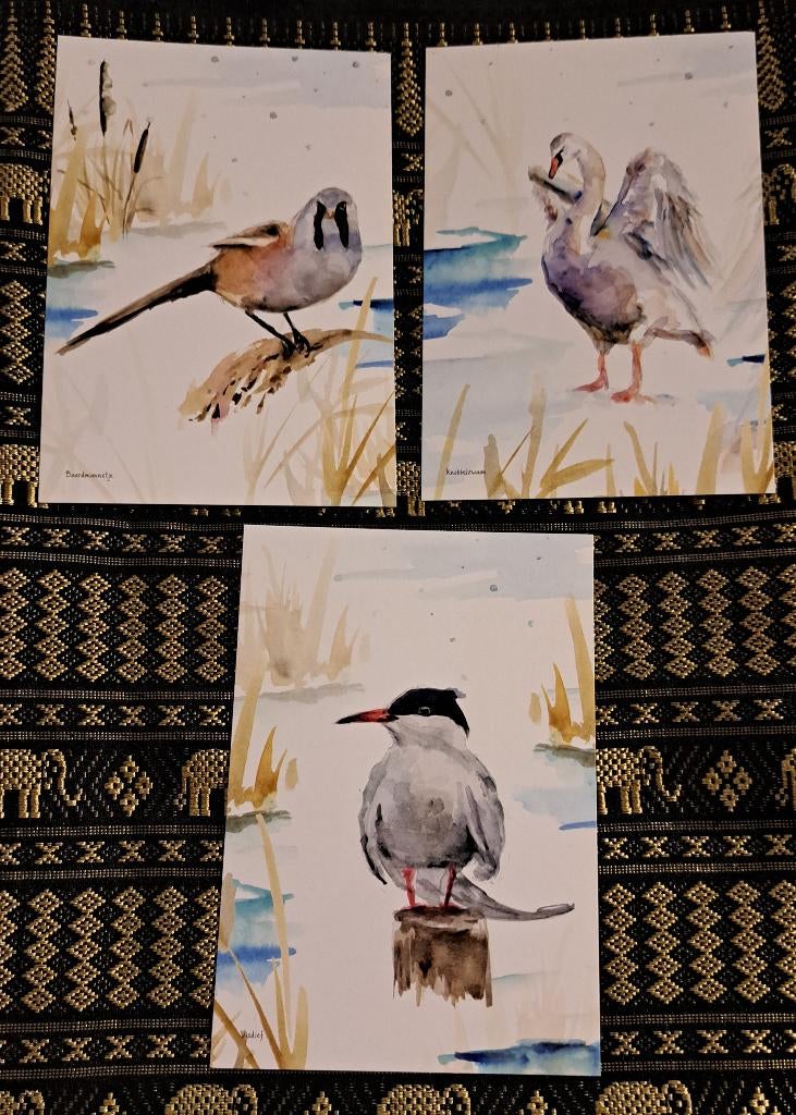 Marker Wadden Grote Wateren ansicht kaarten set 10 x 15 cm, Ophalen of Verzenden, 1980 tot heden, Ongelopen, Vogel