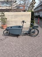 Dolly bakfiets 2021, Fietsen en Brommers, Gebruikt, 3 kinderen, Elektrisch, Ophalen