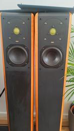 Chario Constellation Cygnus Leaf Edition consecutive series, Audio, Tv en Foto, Gebruikt, 120 watt of meer, Front, Rear of Stereo speakers