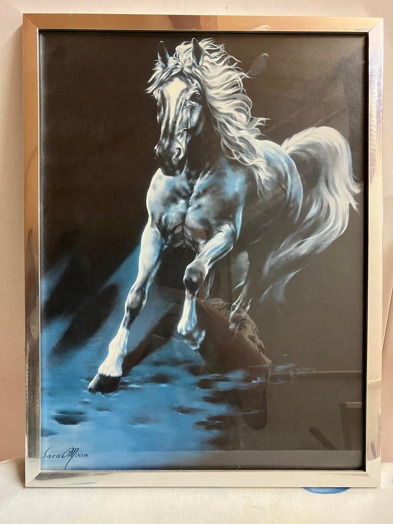 Schilderij Sara Moon - Paard in Zilveren Lijst, Ophalen of Verzenden