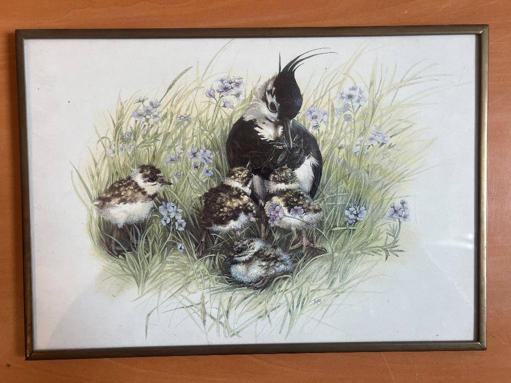 Schilderij met vogels, Minder dan 50 cm, Gebruikt, Ophalen of Verzenden, Minder dan 50 cm