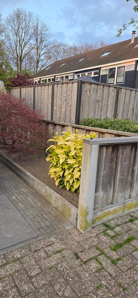 Opsluitbanden Chinees blauwsteen 14 stuks, Tuin en Terras, Bloembakken en Plantenbakken, Ophalen, Steen, Nieuw, Tuin