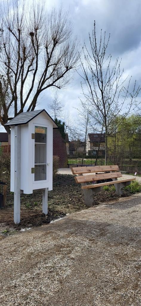 Gevraagd: stripboeken voor in onze buurtboekenkast, Meerdere stripboeken, Ophalen of Verzenden, Gelezen