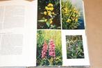 De schoonheid van de wilde plant met 190 kleurenfoto's, Boeken, Natuur, Ophalen of Verzenden, Gelezen
