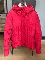 Winterjas van het merk Geisha, Kleding | Dames, Jassen | Winter, Maat 38/40 (M), Geisha, Ophalen of Verzenden, Zo goed als nieuw