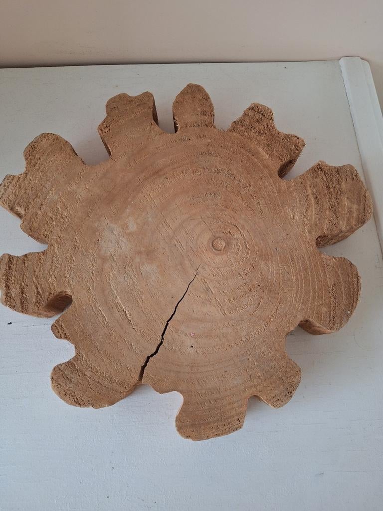 Decoratieve houten schijf - Rustieke boomstam schijf, Ophalen of Verzenden, Zo goed als nieuw