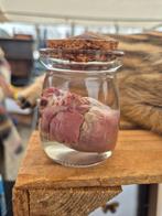 Te koop: hart van evert zwijn biggetje, Verzamelen, Ophalen of Verzenden, Nieuw, Wild dier, Overige typen