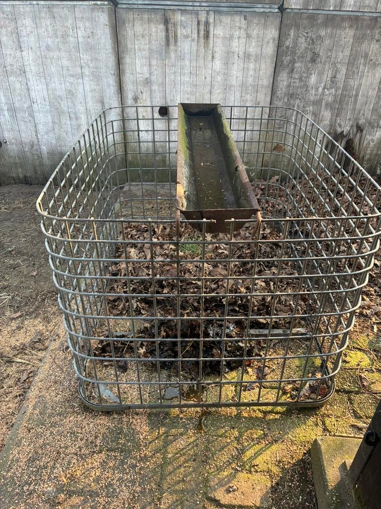 Hooiruif, Meerdere dieren, Schaap