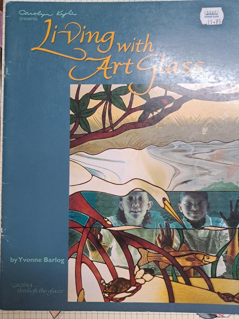 Living with Art Glass - Boek over glas-in-lood kunst, Ophalen of Verzenden, Gelezen, Overige onderwerpen, Yvonne Barlog