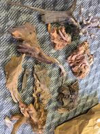 Aquariumhout., Dieren en Toebehoren, Ophalen