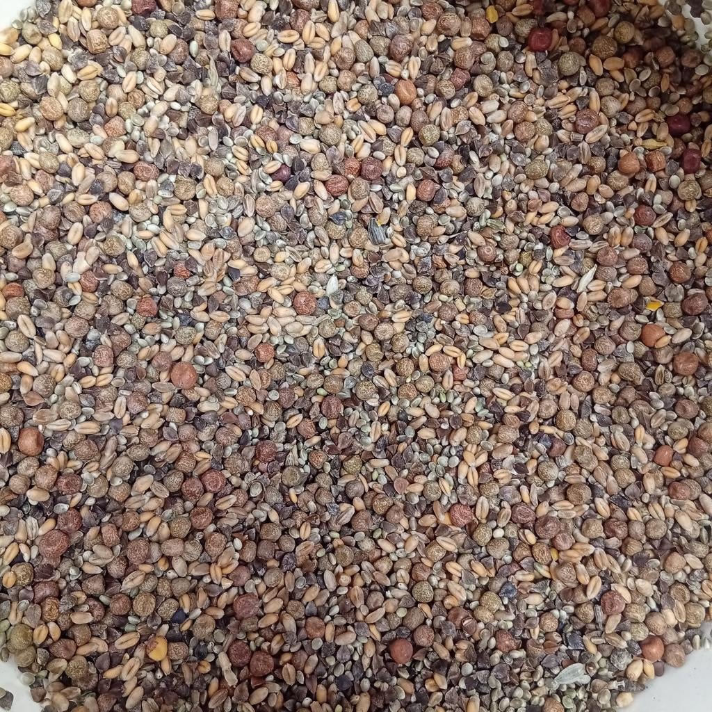 Droge partikels, Watersport en Boten, Hengelsport | Karpervissen, Nieuw, Overige typen, Ophalen of Verzenden