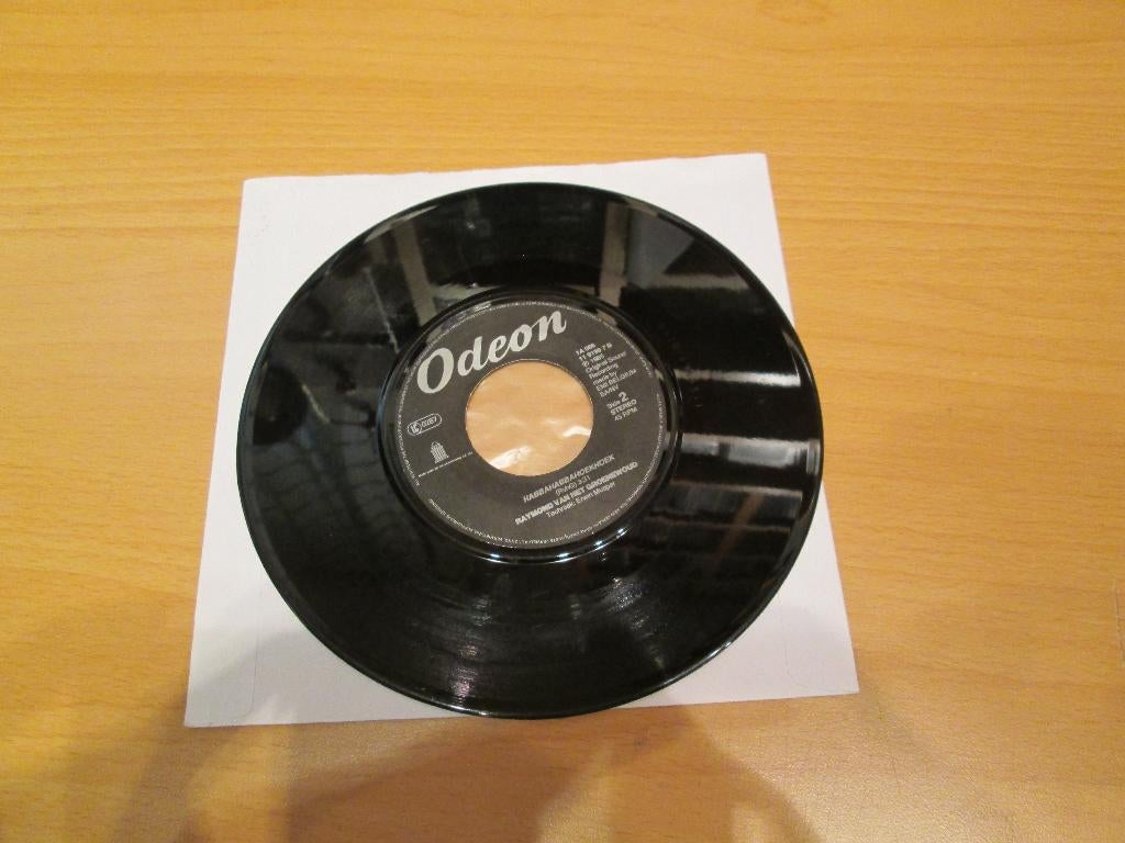 Raymond Van Het Groenewoud - Stapelgek Op Jou /, Ophalen of Verzenden, Gebruikt, Pop