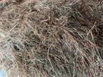 Baal suikerarm hooi, onverpakt, Dieren en Toebehoren, Dierenvoeding, Ophalen, Vee