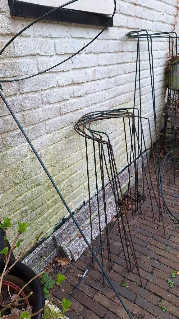 GRATIS Plantensteunen voor tuinplanten en andere tuinspullen, Tuin en Terras, Planten | Tuinplanten, Overige soorten, Volle zon