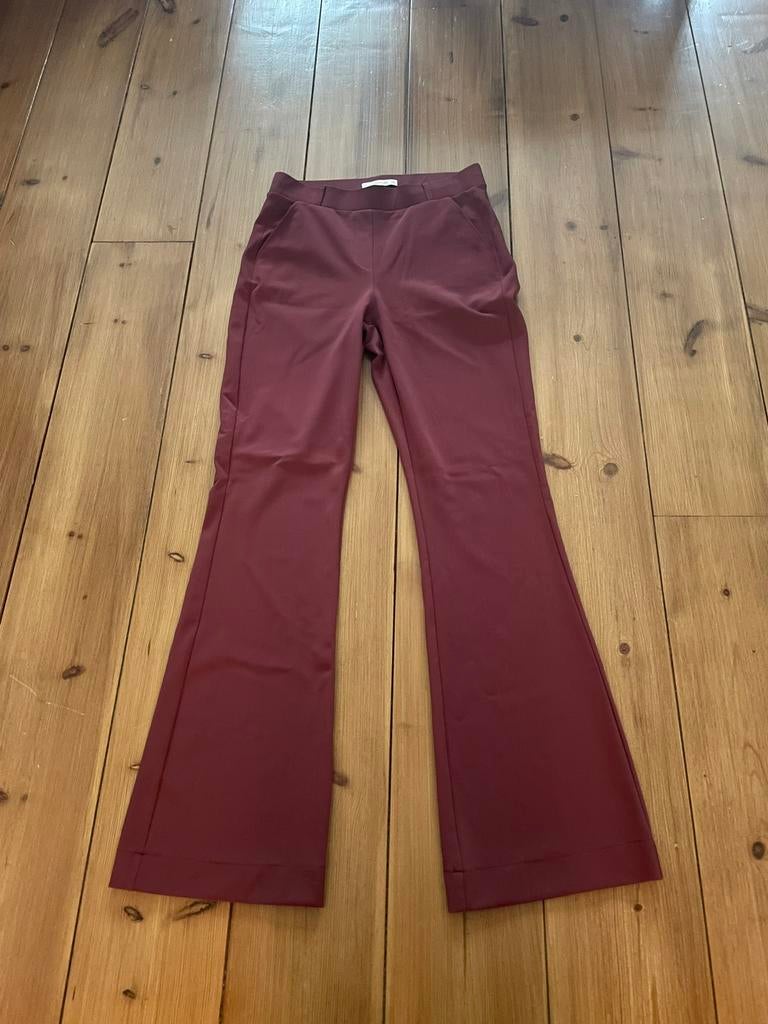 Mooie flare bonded burgundy broek Studio Anneloes, s, Overige kleuren, Verzenden, Zo goed als nieuw, Maat 36 (S)
