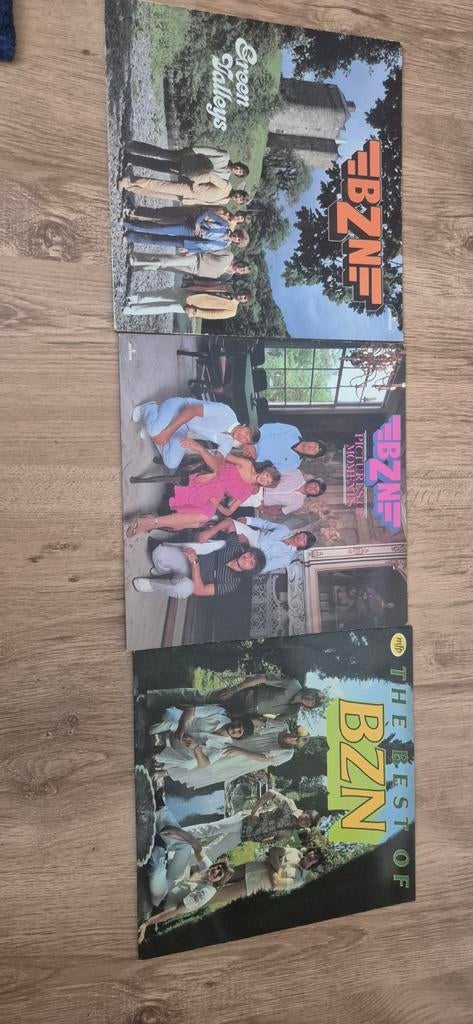 BZN - The best of - Pictures of Moments - Green Valleys, Ophalen of Verzenden, Gebruikt, 12 inch