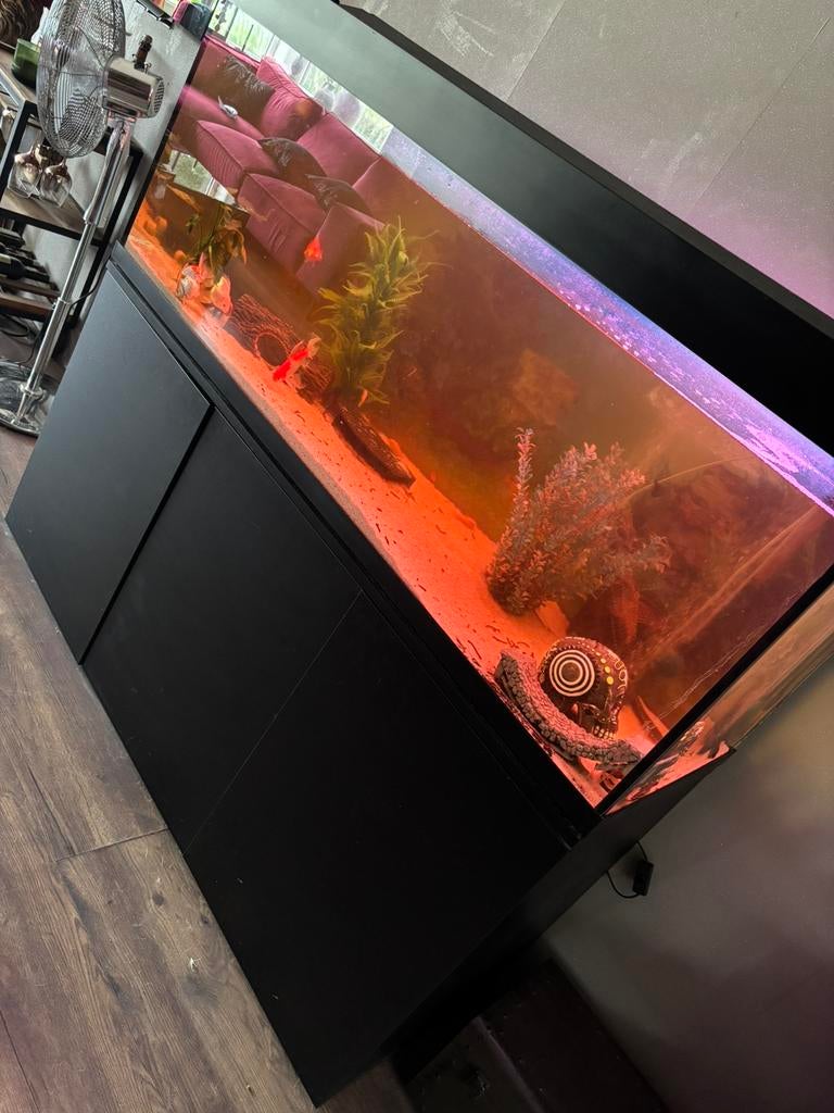 Mooie Grote Aquarium Met Bijbehorende Onderkast, Ophalen, Overige merken, Zo goed als nieuw, Inclusief deksel