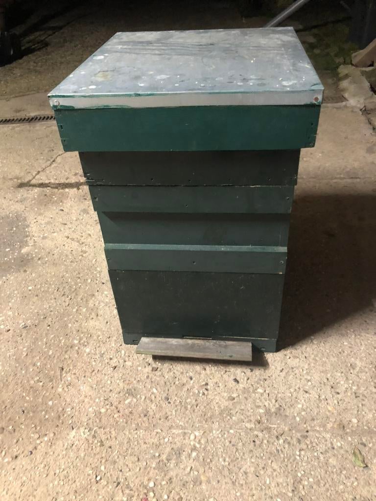 Bijenkast Simplex mat, Bijen