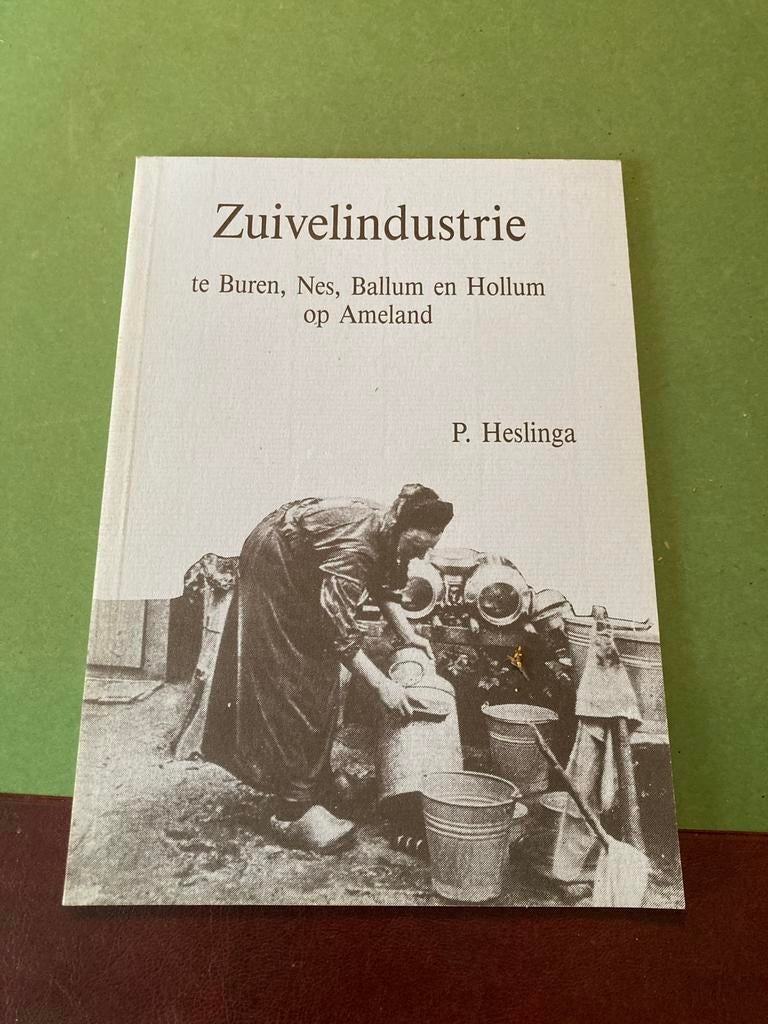 Zuivelindustrie op Ameland, Boeken, Geschiedenis | Stad en Regio, Ophalen of Verzenden, 20e eeuw of later, Zo goed als nieuw