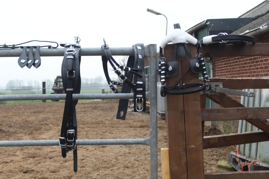 Te koop super gave en unieke mini shetlander mentuig, Dieren en Toebehoren, Paarden en Pony's | Hoofdstellen en Tuigage, Nieuw