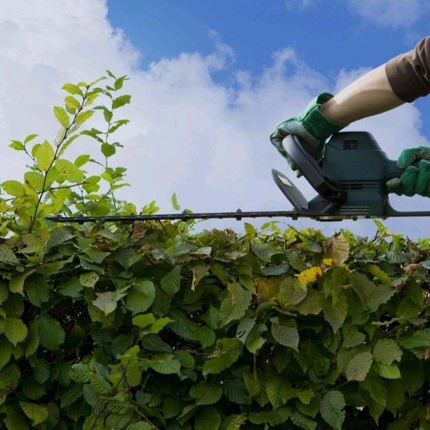 Tuinonderhoud ( Amsterdam en omstreken ), Ophalen of Verzenden, Beton, Overige typen