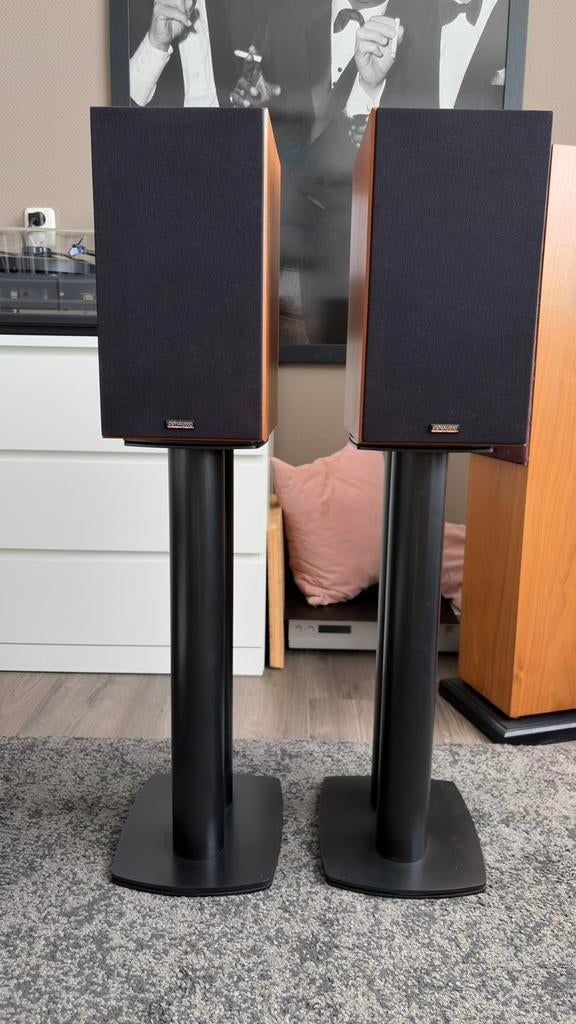 Dynaudio Contour 1.3MKII + Stands, Ophalen, Zo goed als nieuw
