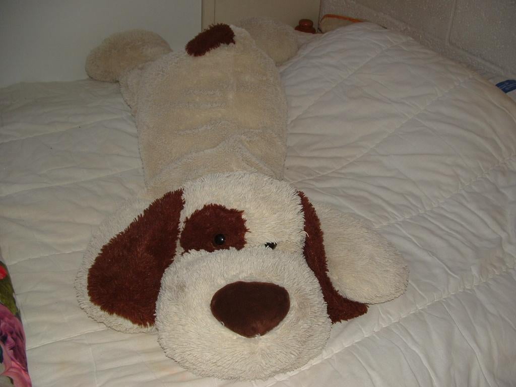 MOOIE HOND MEGAGROOT PLUCHE WOLLIG MET MET BRUINE, Ophalen of Verzenden, Nieuw, Overige typen