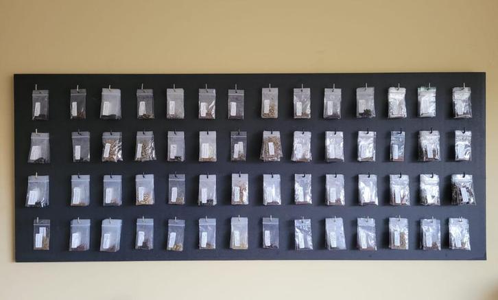 Bio zaden: inheemse-, insecten-, en eetbare bloemenplanten, Tuin en Terras, Bloembollen en Zaden, Zaad, Voorjaar, Halfschaduw