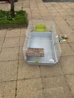 Konijnen of cavia kooi, Ophalen, 110 cm of meer, Zo goed als nieuw, 90 cm of meer