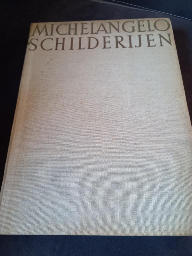 Michelangelo Schilderijen boek, Ophalen of Verzenden