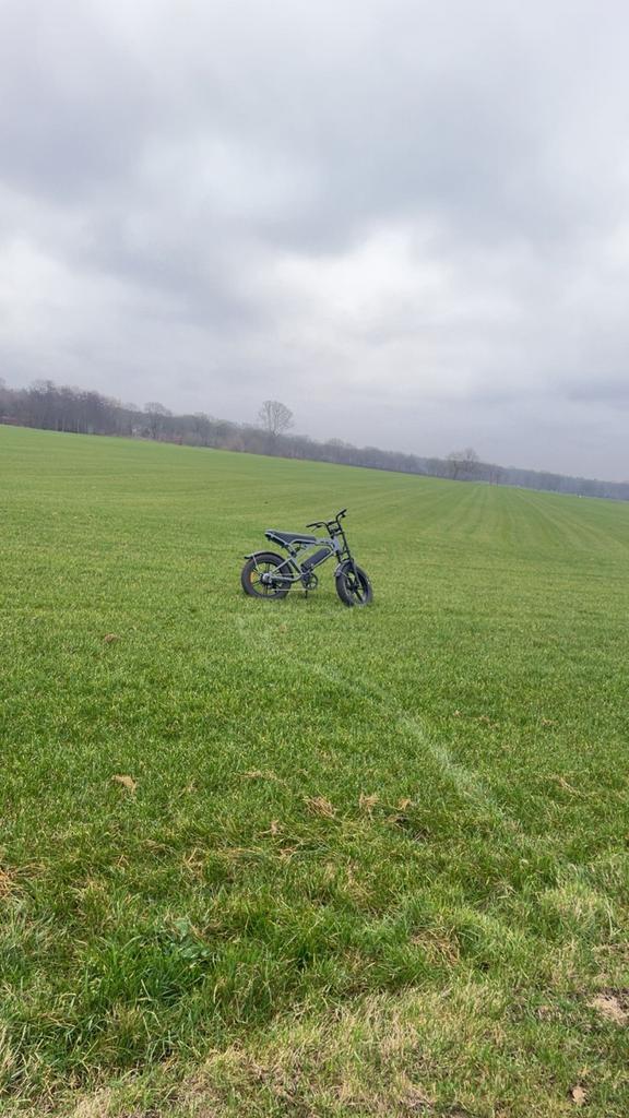 Fatbike, Fietsen en Brommers, Elektrische fietsen, Zo goed als nieuw, 51 tot 55 cm, 30 tot 50 km per accu, Ophalen