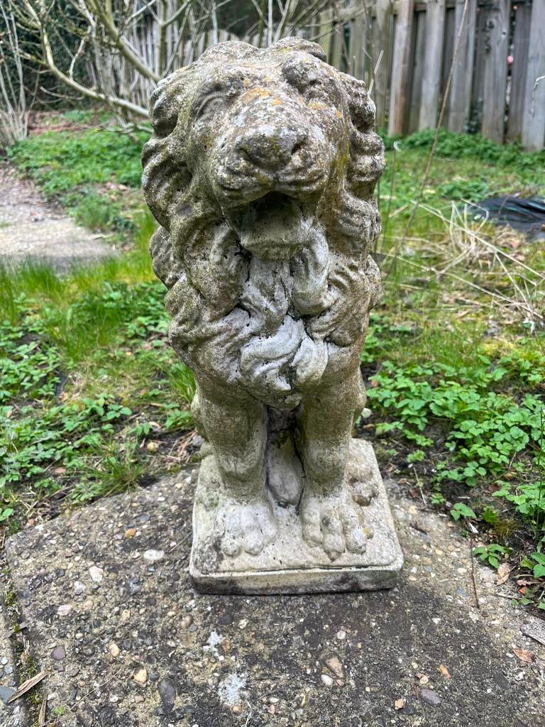 Te koop, set van 2 oude betonnen tuinbeelden leeuw, Tuin en Terras, Ophalen, Gebruikt, Steen, Dierenbeeld