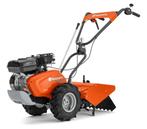 TE HUUR: Tuinfrees, Ophalen, Zo goed als nieuw, 50 cm of meer