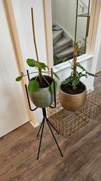 Moderne Zwarte Plantenstandaard - Zonder Pot, Huis en Inrichting, Zwart, Nieuw, Ophalen of Verzenden, Metaal