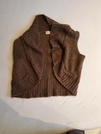 Bruine wollen trui XL dames, Kleding | Dames, Truien en Vesten, Ophalen of Verzenden, Zo goed als nieuw, Maat 46/48 (XL) of groter