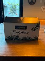 Annina Kunstplantjes - Nieuw in doos!, Ophalen of Verzenden, Nieuw, Binnen