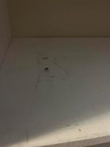 Ivar IKEA kast - afbeelding 2